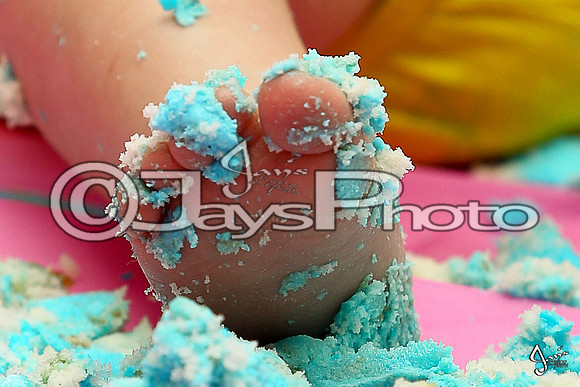 Camden's 1st Birthday pictures_0843