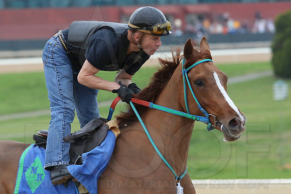 Arkansas Derby 4-11-2014 (© Justin Manning) JWM_0062