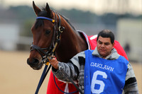 Oaklawn Smarty Jones Stakes 1-18-2016 (©Justin Manning) JWM_(0050