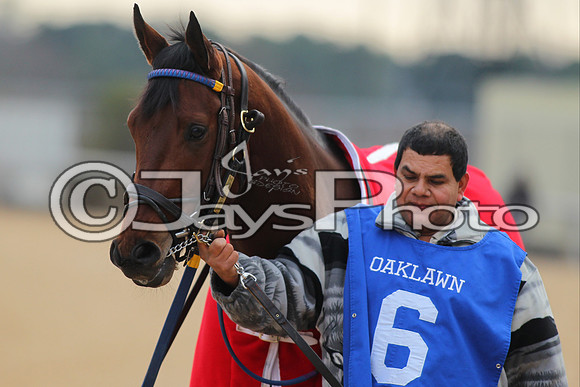 Oaklawn Smarty Jones Stakes 1-18-2016 (©Justin Manning) JWM_(0050
