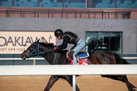 Apple Blossom Stakes Day 4-12-25_JWM_0049