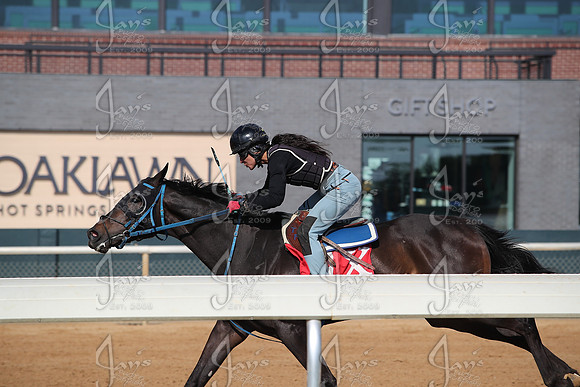 Apple Blossom Stakes Day 4-12-25_JWM_0049