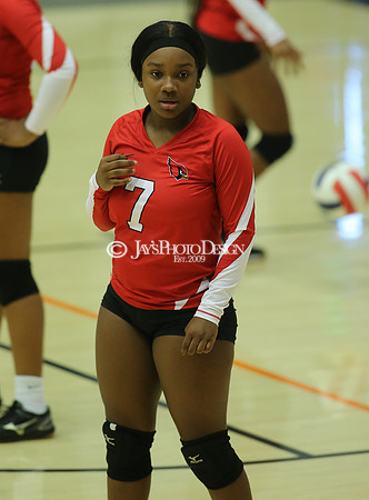 Camden Fairview @ Malvern JV_JWM_0172