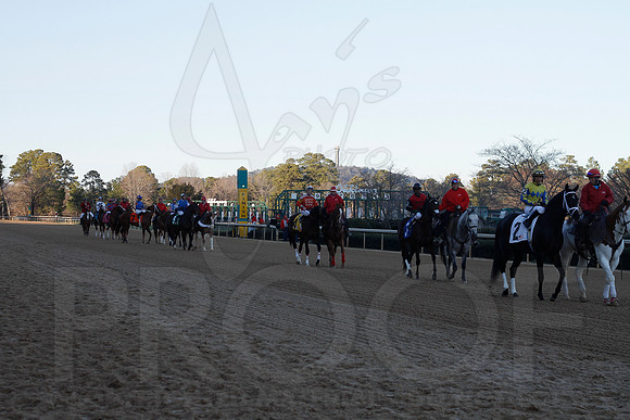 Oaklawn 1-21-13 (Smarty Jones Stakes) (Justin Manning)0161