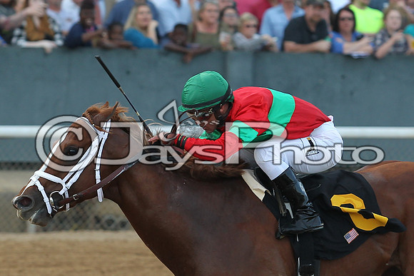JWM_170318_RebelStakes_01053