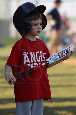 White Sox vs Angels 4-22-13 (©Justin Manning) JWM0044