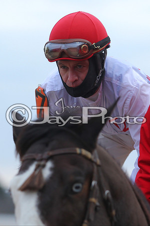 Oaklawn Smarty Jones Stakes 1-18-2016 (©Justin Manning) JWM_(0328