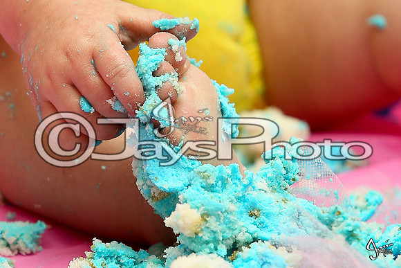 Camden's 1st Birthday pictures_0844