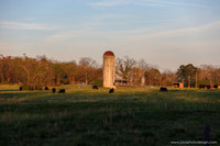 Barns 3-25-20_0111