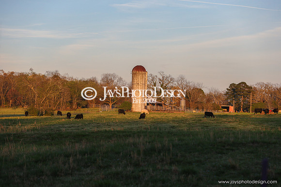 Barns 3-25-20_0111