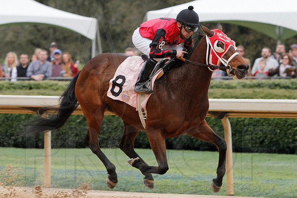 Fantasy Stakes 4-5-2014 (© Justin Manning) JWM_0056
