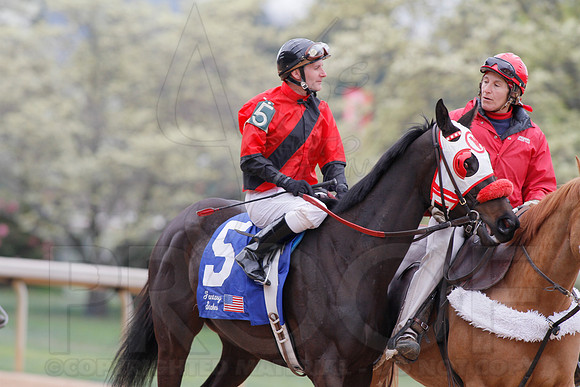 Fantasy Stakes 4-5-2014 (© Justin Manning) JWM_0762