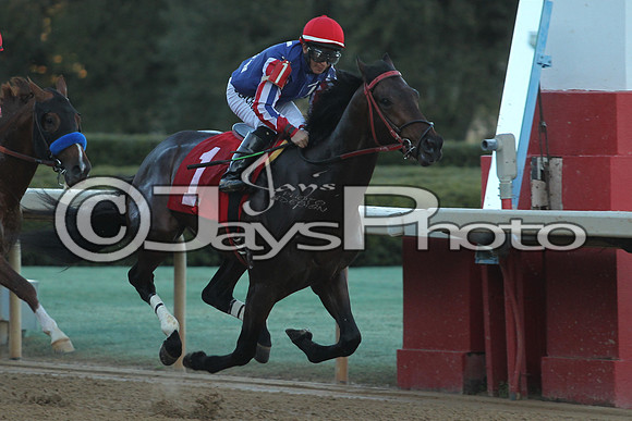 JWM_160215-southwest_0830