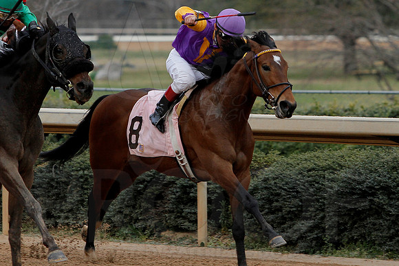 Oaklawn 8th Race 3-9-13 JWM0024 (©Justin Manning)