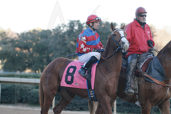 Oaklawn 1-21-13 (Smarty Jones Stakes) (Justin Manning)0176