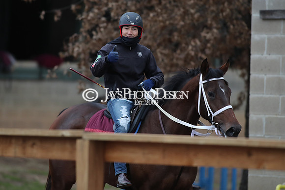 z250104_SmartyJonesStakesDay _JWM_0100