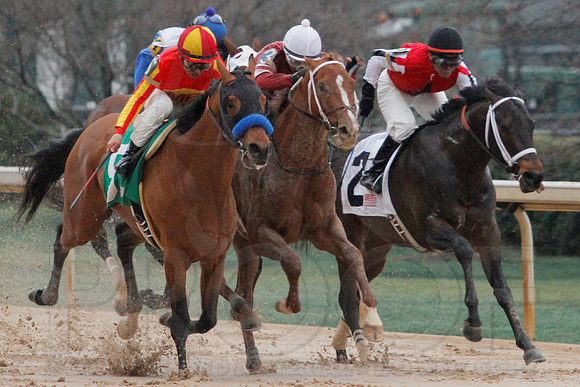 Rebel Stakes 3-15-14 3-15-2014 (© Justin Manning) JWM_0233