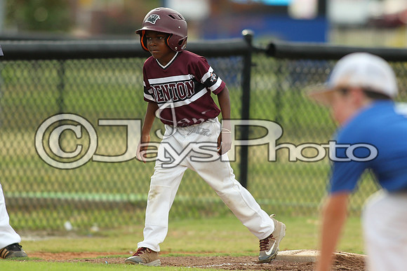 Benton vs. Clark County 6-27-16_JWM_0090