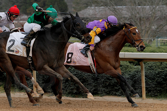 Oaklawn 8th Race 3-9-13 JWM0029 (©Justin Manning)
