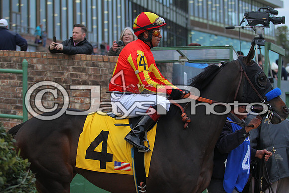 Oaklawn Smarty Jones Stakes 1-18-2016 (©Justin Manning) JWM_(0140
