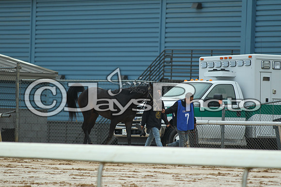 JWM_170116_SmartyJones_00318_manning
