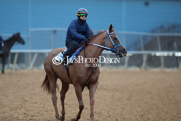 z250104_SmartyJonesStakesDay _JWM_0070