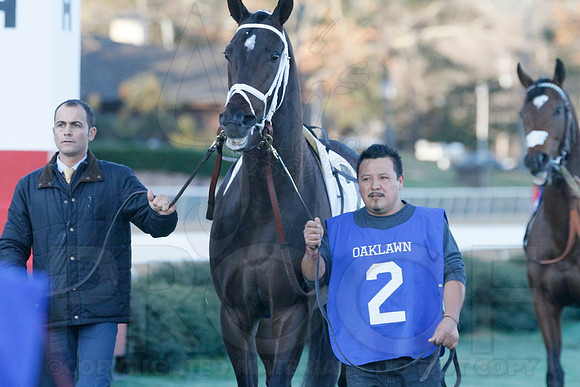 Oaklawn 1-21-13 (Smarty Jones Stakes) (Justin Manning)0101