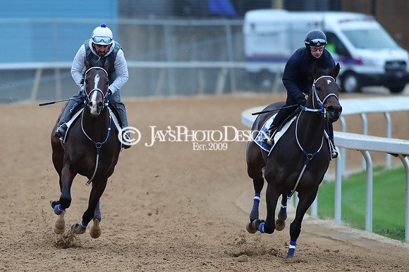 z250104_SmartyJonesStakesDay _JWM_0074