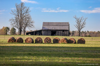 Barns 3-25-20_0037