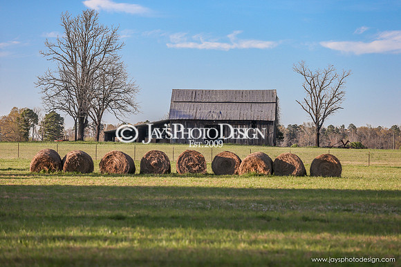 Barns 3-25-20_0037
