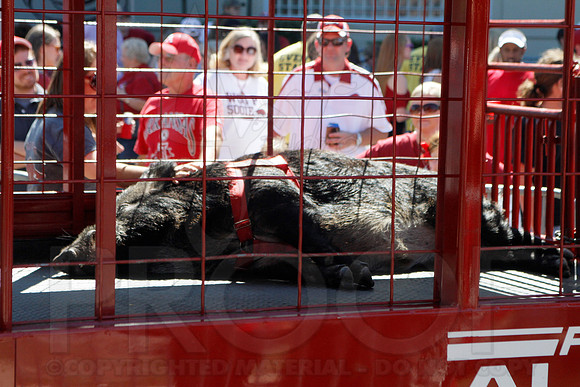 ULM @ Arkansas 9-8-12 (Justin Manning)023