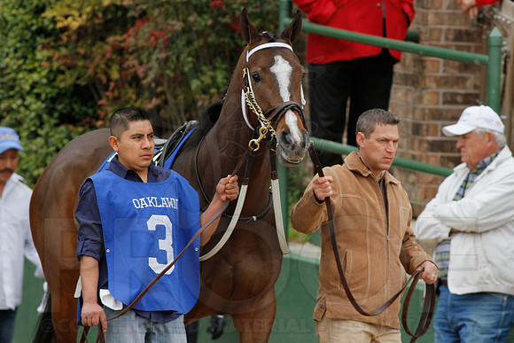 Fantasy Stakes 4-5-2014 (© Justin Manning) JWM_0450
