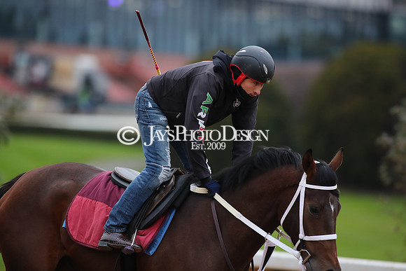 z250104_SmartyJonesStakesDay _JWM_0082
