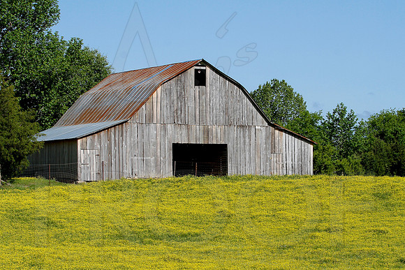 Barn on the way to ASU 4-28-13