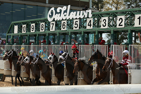 Arkansas Derby 4-12-2014 (© Justin Manning) JWM_0513