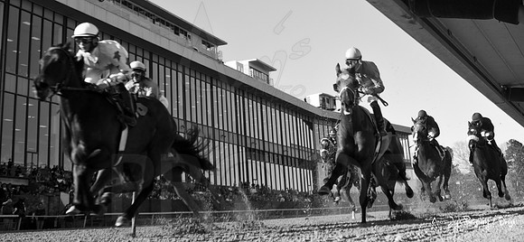 Oaklawn-17