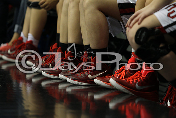 Nemo Vista vs. Wonderview 1A Girls State Finals 3-12-2015 (©Justin Manning) JWM_257