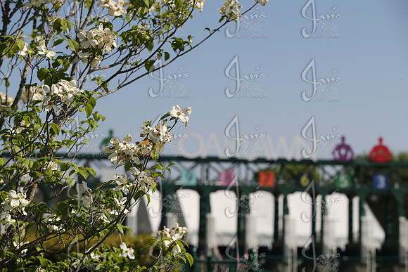 Apple Blossom Stakes Day 4-12-25_JWM_0075