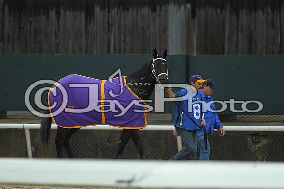 JWM_170116_SmartyJones_00257_manning