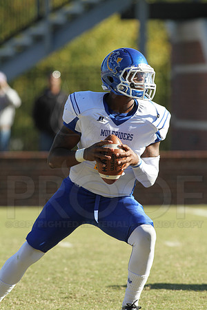 Southern Arkansas University @ Ouachita Baptist University 11-1-2014 (©Justin Manning) JWM_668