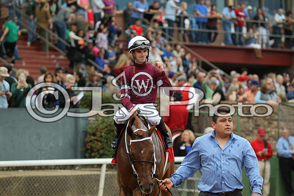 Southwest Stakes (GradeIII) 2-20-17_JWM00257