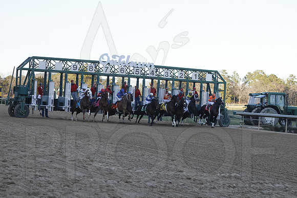 Oaklawn 1-21-13 (Smarty Jones Stakes) (Justin Manning)0287