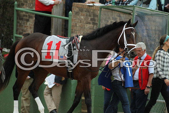 Southwest Stakes (GradeIII) 2-20-17_JWM00546