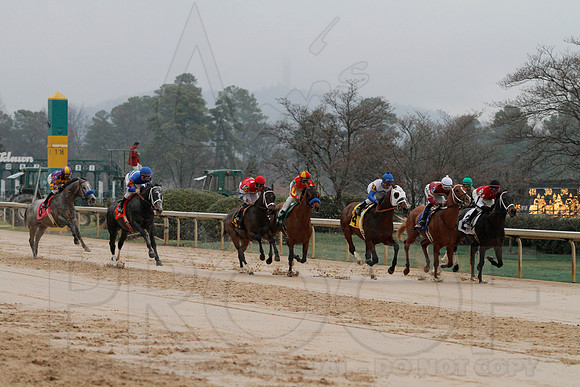 Rebel Stakes 3-15-14 3-15-2014 (© Justin Manning) JWM_0190