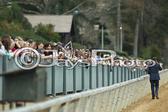 Southwest Stakes (GradeIII) 2-20-17_JWM00151