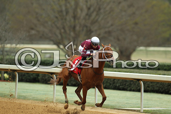 Southwest Stakes (GradeIII) 2-20-17_JWM00212
