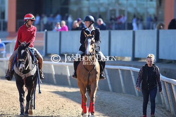 z220319_WhitmoreStakesday_Manning_0194