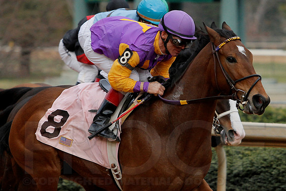 Oaklawn 8th Race 3-9-13 JWM0012 (©Justin Manning)