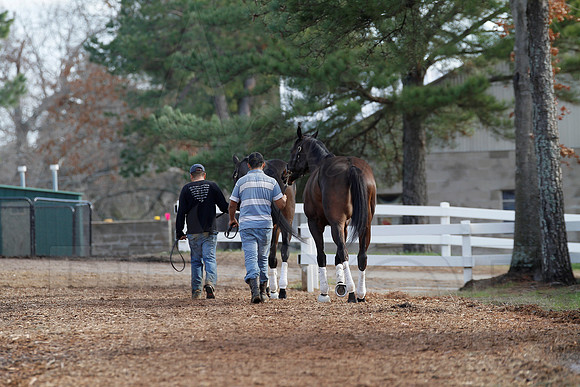 Oaklawn 1-11-13 (Justin Manning)0016