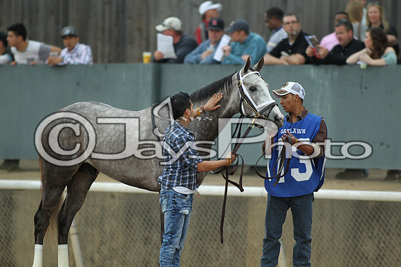 Southwest Stakes (GradeIII) 2-20-17_JWM00330